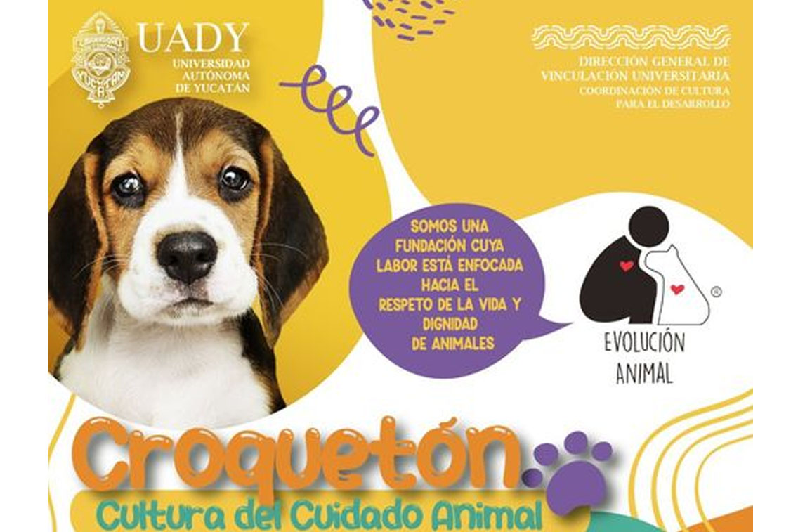 Invitan a los Animalovers a participar en el Croquetón 2023 de la