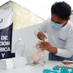 Yucatán se coloca ante los ojos de la industria turística de Europa