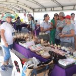Así se vivió la Marcha por la defensa de la democracia en Yucatán