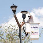 Entregadas más de 38 mil abejas reinas para fortalecer la producción de miel
