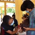 El turismo, uno de los principales motores del empleo en Yucatán: Vila Dosal