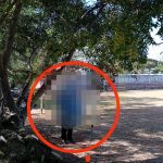 Inicia la fiesta de los trovadores yucatecos