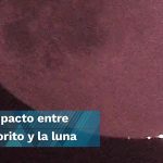 Presentan en Mérida el proyecto “Alianza para Ciudades con Emisiones Netas Cero”