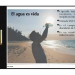 Sargazo en niveles históricos: Masa de algas se encamina a la Península de Yucatán