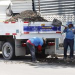 El Ayuntamiento de Mérida celebra el Día de la Madre Tierra 2023