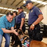 Yucatán vive una intensa temporada de incendios forestales, llaman a la población a reportarlos