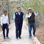 Buscan conservar ADN de plantas endémicas, raras y amenazadas de Yucatán