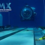 Estudio revela una importante recuperación de las poblaciones de peces en la Reserva de Celestún