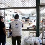 Prevén incremento de la población de Pez León en el Golfo de México