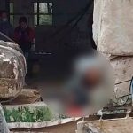Gobierno distribuye más de 75 mil plantas en escuelas de Yucatán, a través del programa “Un niño, un árbol»