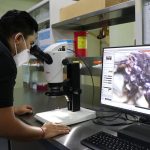 Lanzan la primera leyenda hablada en maya; la podrás ver en los cines Siglo XXI
