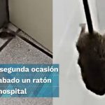 Supervisa Barrera Concha obras de remodelación del Centro Cultural «Fernando Castro Pacheco»