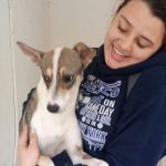Mauricio Vila entrega diversos apoyos a los habitantes de Dzoncauich