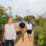 Vamos por la arborización más grande en Mérida, Cecilia Patrón