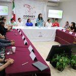 Impulsan con diversas acciones la digitalización de las unidades económicas en Yucatán