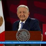 Buscan desarrollar una prueba rápida para detectar Rickettsia
