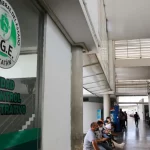Plasman el legado de Ofelia Martínez Ávila en obra editorial