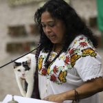 Explora Shijing Solar Power posible inversión en Yucatán para expansión en energías renovables