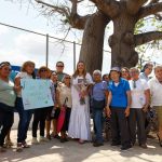 Capibara: el roedor gigante que conquista corazones