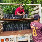 Yucatán se posiciona ante empresas japonesas