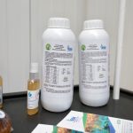 Yucatán fortalece su liderazgo en turismo gastronómico