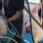 Rescatan a dos menores víctimas de trata de personas en Cancún; detienen a mujer vinculada al delito