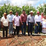 Alianza entre Gobiernos y sociedad embellece destinos turísticos de Yucatán
