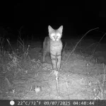 Huracán “Melissa” deja en Haití al menos 20 muertos y varios desaparecidos