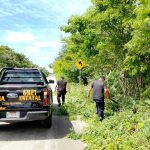 Yucatán destaca a nivel nacional por altos índices de éxito en trasplantes pediátricos
