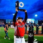 Gatos domésticos, un nuevo riesgo para las tortugas marinas en Telchac Puerto