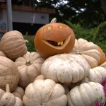 La Ermita lista para recibir el Paseo de las Ánimas