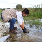 Renacimiento Maya y el Gobierno de México unen esfuerzos para fortalecer sector ganadero de Yucatán