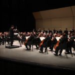 Impulsan conservación activa de vida silvestre con translocación de 90 tortugas