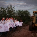 Las orcas: inteligencia, poder y estrategia en los océanos