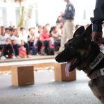 Egresan en Ticul primeros médicos de la Universidad para el Bienestar Benito Juárez