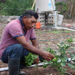 Claudia Sheinbaum presenta la súper computadora “Coatlicue”