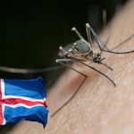 Yucatán moderniza acceso a la zona arqueológica de Oxkintok