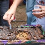 Construyen alianzas para impulsar el desarrollo económico y turístico