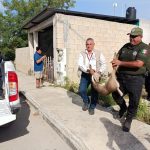 Prisión preventiva a “El Pelón”, por reclutar sicarios para asesinar a Carlos Manzo