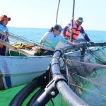 Reafirman respaldo a migrantes yucatecos