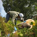 Finaliza ciclo de cursos de lengua maya del Indemaya