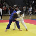 Profepa clausura el proyecto “Ciudad Maderas Península II” en Chelém, Yucatán