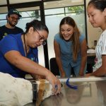 Yucatán ampliará la cuota de pulpo a 32 mil toneladas