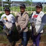 Variedad de ritmos musicales hará vibrar el Mérida Fest 2026.