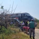 Muere Brigitte Bardot a los 91 años