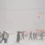 Momento exacto del asesinato del ICE; “¡qué carajo acaban de hacer!”