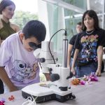 Promueven entornos laborales seguros y libres de discriminación