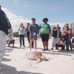 Más de 40 mil meridanas y meridanos viven una noche inolvidable con Reik en el Mérida Fest.