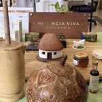 Yucatán apuesta por más mujeres y niñas en la ciencia