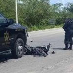Jirafas y medusas literarias llenan el stand de la Sedeculta en la Filey